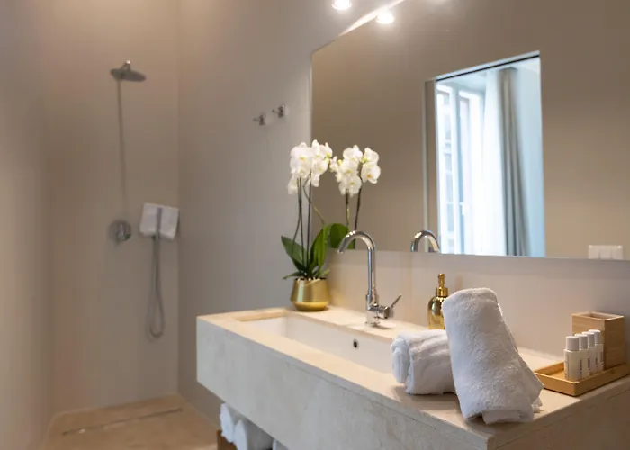 Domus 21 Luxury Affittacamere 4*